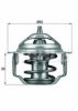 BEHR TX 85 82 Thermostat, coolant